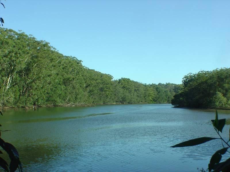 50 Moller Drive, Sawtell NSW 2452