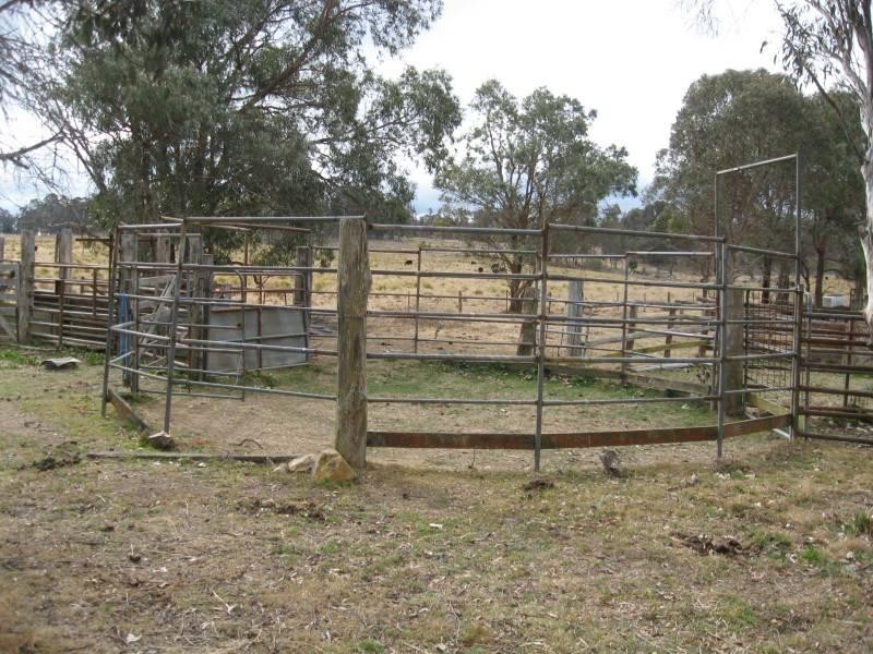 500 Dyamberin Road, Wongwibinda Via Guyra, Coffs Harbour NSW 2450