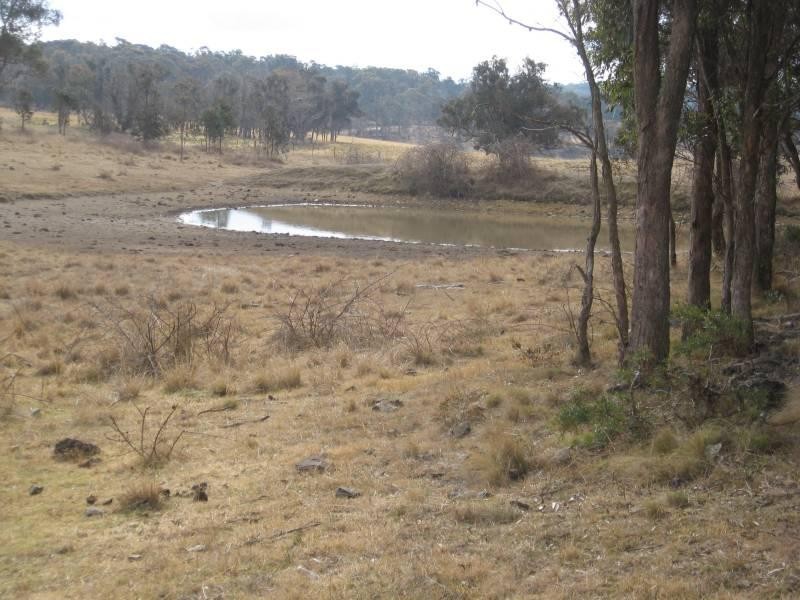 500 Dyamberin Road, Wongwibinda Via Guyra, Coffs Harbour NSW 2450