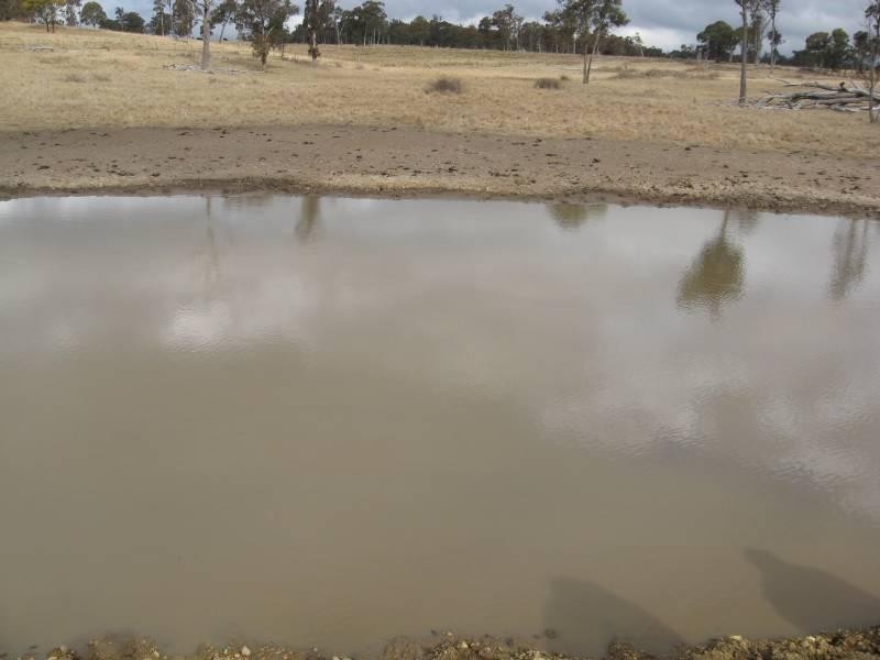 500 Dyamberin Road, Wongwibinda Via Guyra, Coffs Harbour NSW 2450