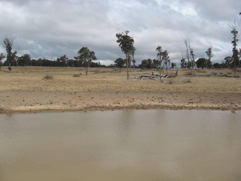 500 Dyamberin Road, Wongwibinda Via Guyra, Coffs Harbour NSW 2450