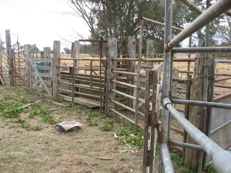 500 Dyamberin Road, Wongwibinda Via Guyra, Coffs Harbour NSW 2450