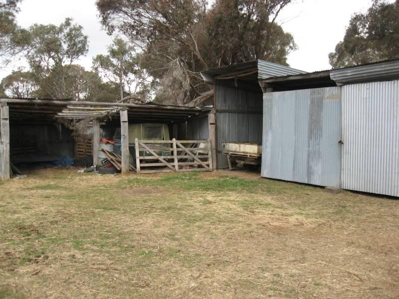 500 Dyamberin Road, Wongwibinda Via Guyra, Coffs Harbour NSW 2450