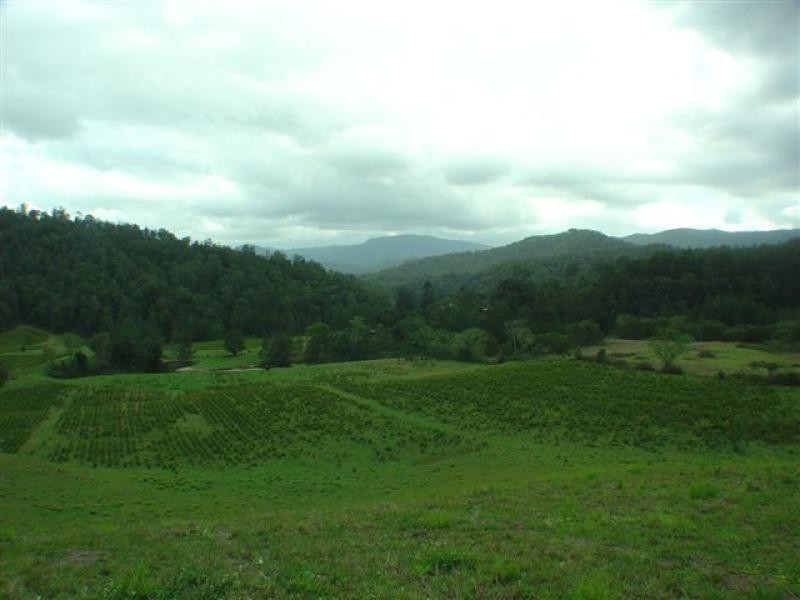 1756 North Arm Road, Bowraville, Coffs Harbour NSW 2450