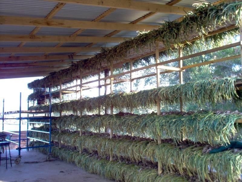 1756 North Arm Road, Bowraville NSW 2449