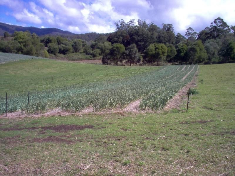 1756 North Arm Road, Bowraville NSW 2449