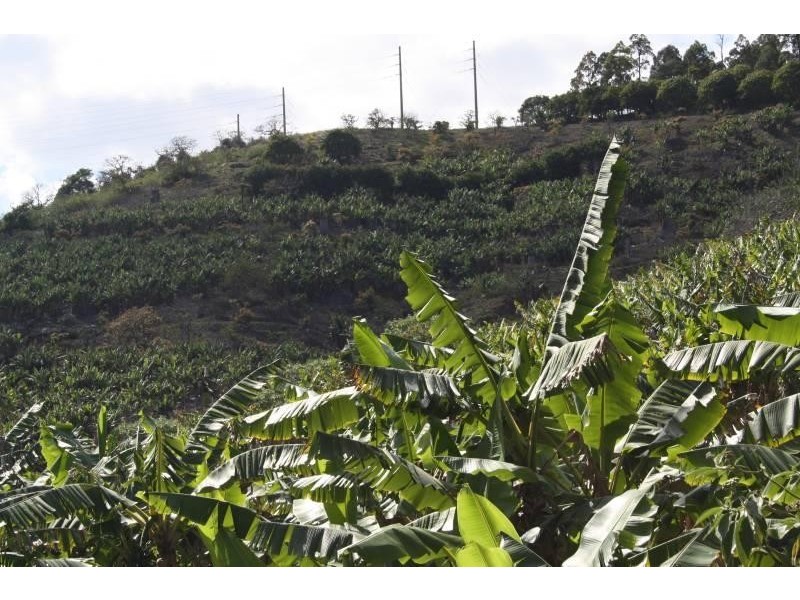 221c Bennetts Road, Coffs Harbour NSW 2450