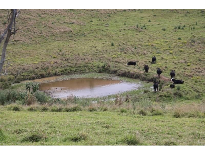 Lot 8/181 North Bank Road, Yarranbella, Coffs Harbour NSW 2450