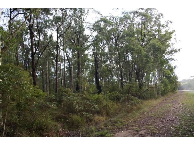 4925 Pacific Highway, Halfway Creek, Coffs Harbour NSW 2450