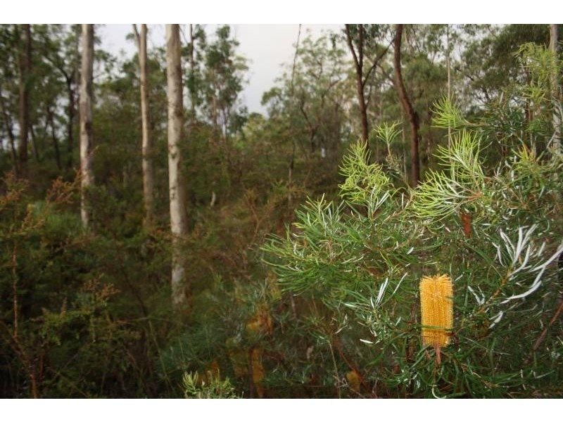 4925 Pacific Highway, Halfway Creek, Coffs Harbour NSW 2450