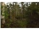 4925 Pacific Highway, Halfway Creek, Coffs Harbour NSW 2450