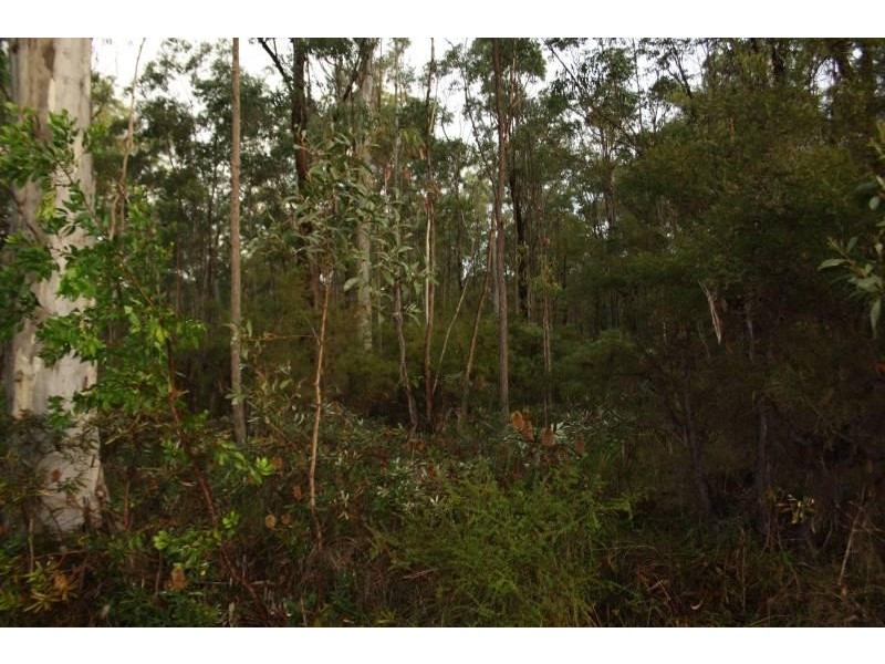 4925 Pacific Highway, Halfway Creek, Coffs Harbour NSW 2450