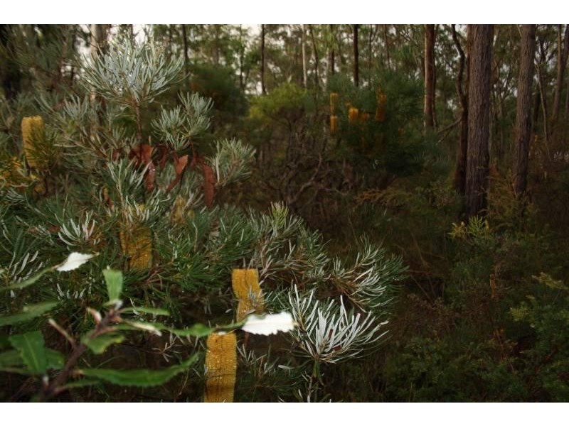 4925 Pacific Highway, Halfway Creek, Coffs Harbour NSW 2450