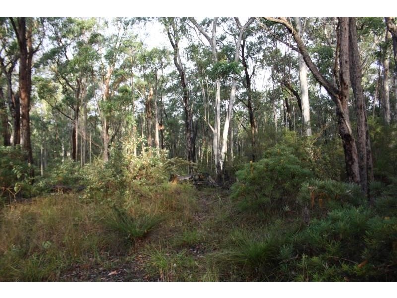 4925 Pacific Highway, Halfway Creek, Coffs Harbour NSW 2450