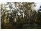 4925 Pacific Highway, Halfway Creek, Coffs Harbour NSW 2450