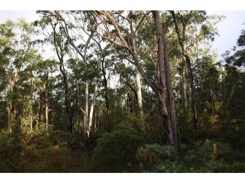 4925 Pacific Highway, Halfway Creek, Coffs Harbour NSW 2450