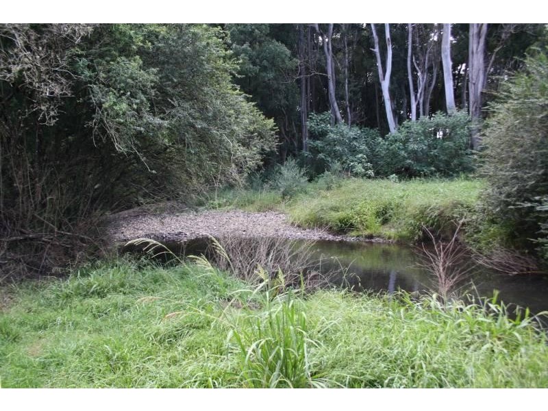 67 Brewers Road, Nana Glen, Coffs Harbour NSW 2450