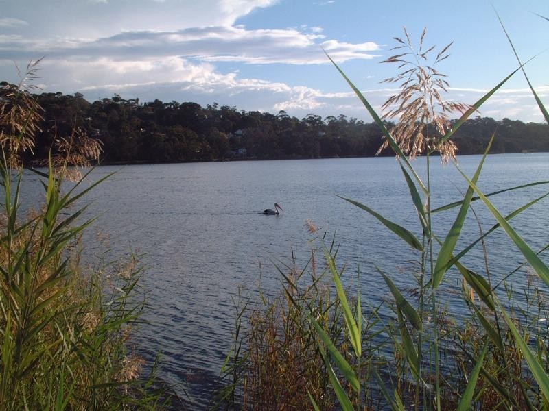 Unit 1/34 LAKE PARK ROAD, North Narrabeen NSW 2101