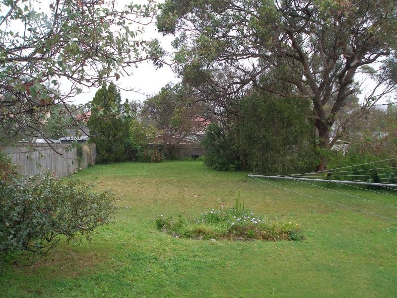 21 HALL AVENUE, Collaroy Plateau NSW 2097