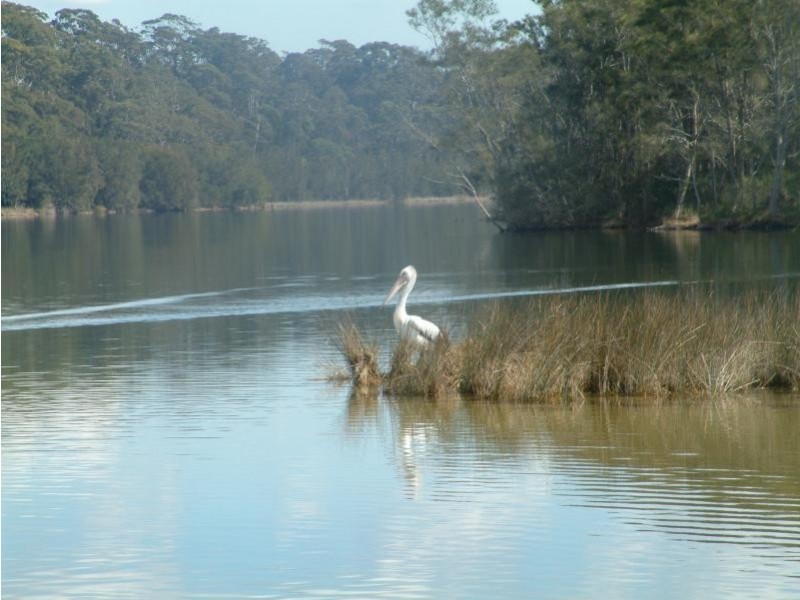 8/24 Goodwin Street, Narrabeen NSW 2101