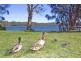 7/120 LAGOON ST, Narrabeen NSW 2101