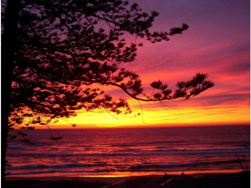 3/ 1135 Pittwater Road, Collaroy NSW 2097