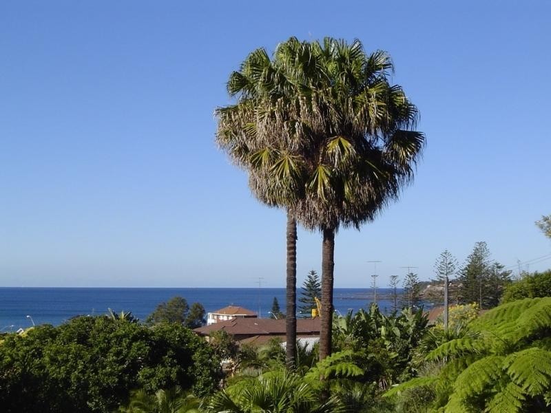 19/17 FRAZER STREET, Collaroy NSW 2097