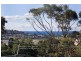 16 Carew Street, Dee Why NSW 2099