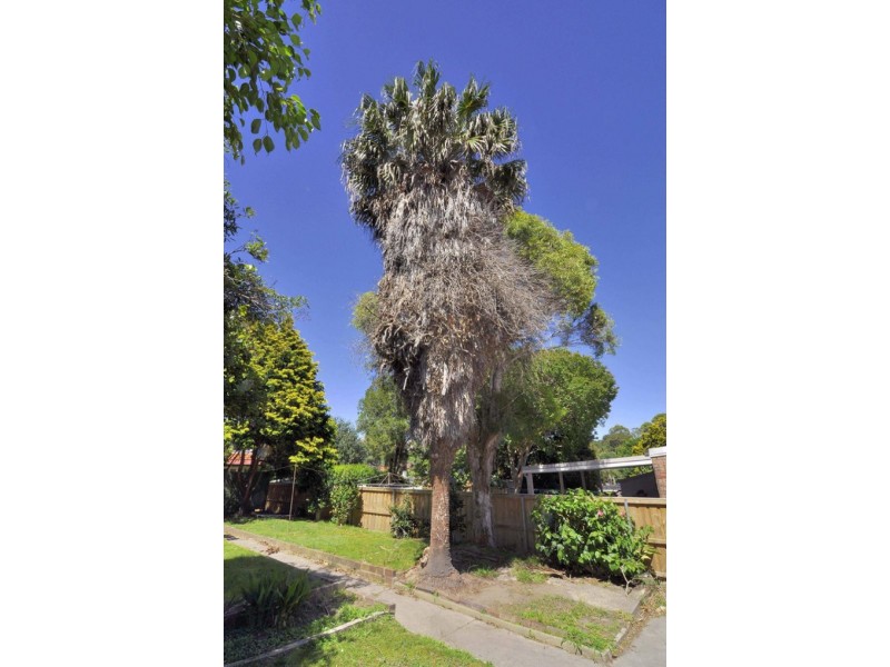 20 Quiamong Road, Naremburn NSW 2065