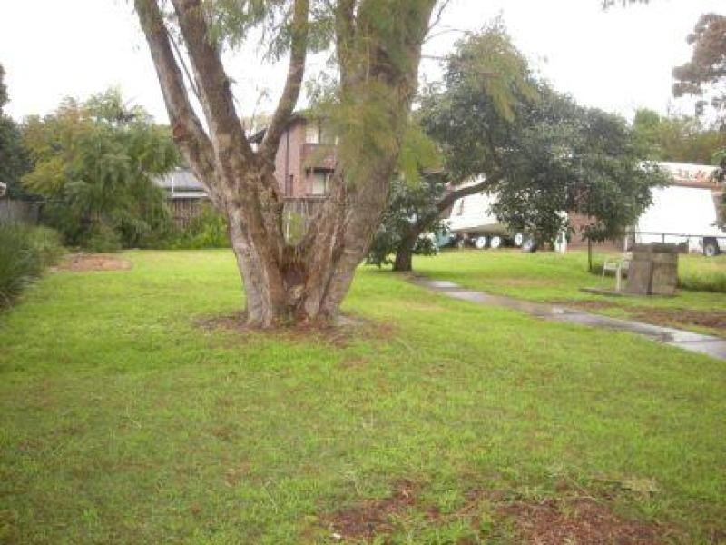 6 Tor Road, Dee Why NSW 2099