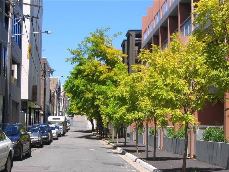 Apartment 29/21 Regent st, Redfern NSW 2016