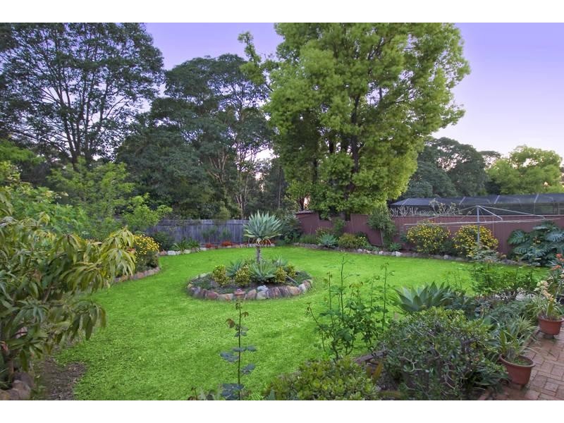 8 GELLING AVENUE, Strathfield NSW 2135