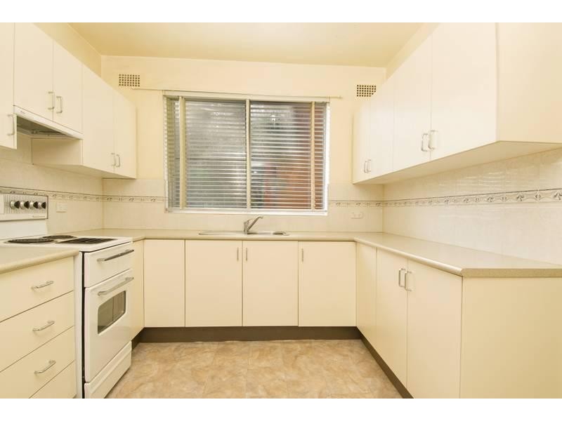 19 Chandos Street, Ashfield NSW 2131