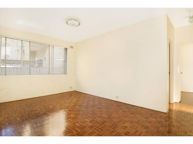 19 Chandos Street, Ashfield NSW 2131