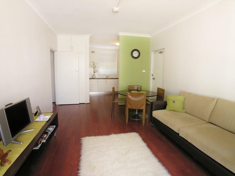 1/3 a Gower Street, Summer Hill NSW 2130