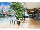 23 WARBRICK STREET, Concord NSW 2137