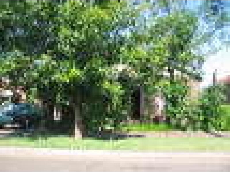 16 Rawson Street, Croydon Park NSW 2133