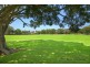 21 Carlyle Street, Enfield NSW 2136