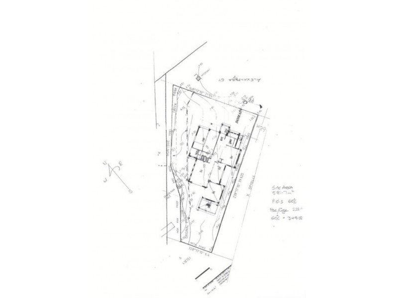 7 Alexandra Street, Ashfield NSW 2131