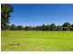 4 Hansen Avenue, Earlwood NSW 2206