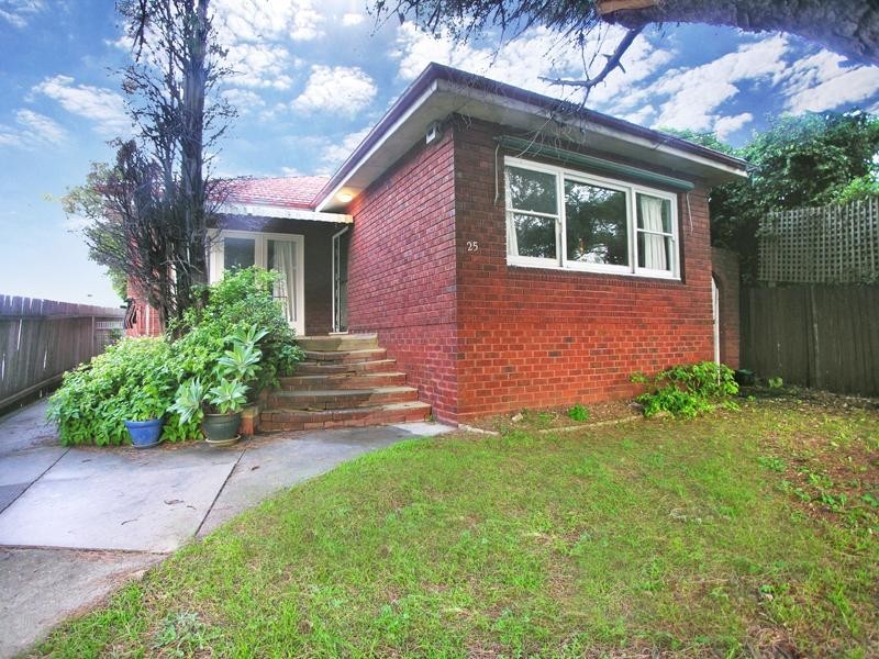 25 Byron Street, Croydon NSW 2132