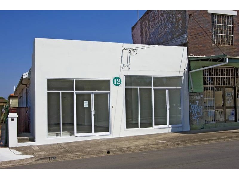 12 King Street, Ashbury NSW 2193