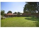 29 Manson Road, Strathfield NSW 2135