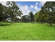 18 ORPINGTON STREET, Ashfield NSW 2131