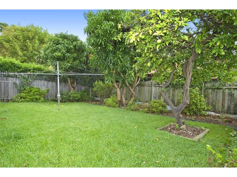 24 Wallace Street, Ashfield NSW 2131