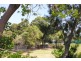 153 Coronation Parade, Strathfield South NSW 2136