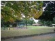 Ashfield NSW 2131