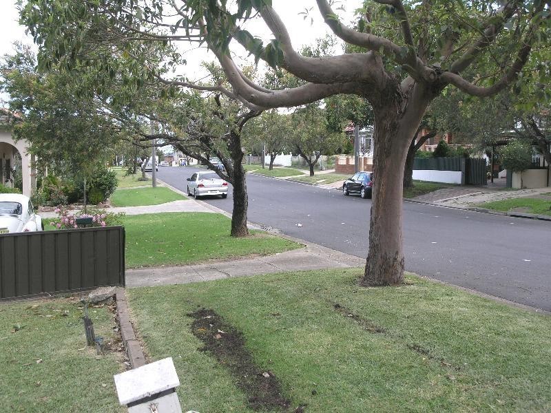 19 Lascelles Avenue, Greenacre NSW 2190