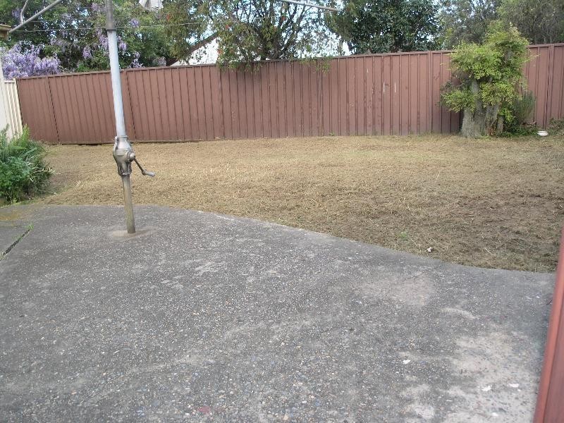 207 Hume Highway, Greenacre NSW 2190