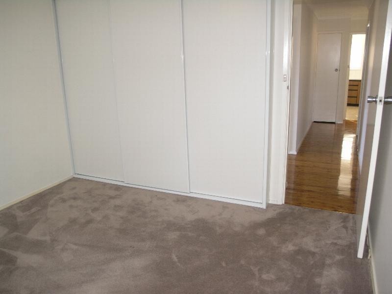 3 Wolli Place, Greenacre NSW 2190